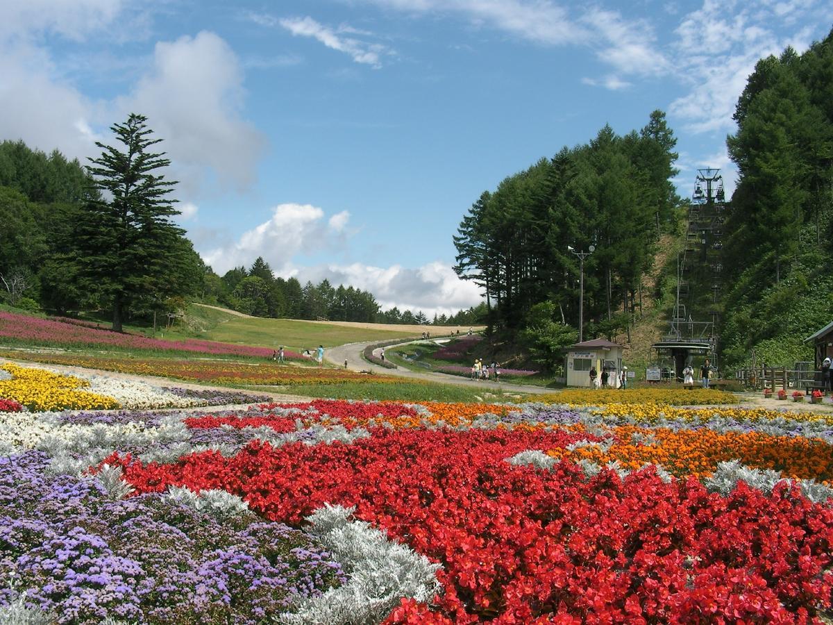Hirugami No Mori Hotel Achi Exterior photo